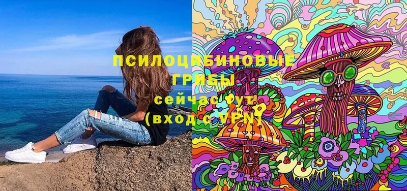 Псилоцибиновые грибы Psilocybe  Весьегонск 